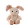 Pink bunny Dummy