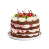 Four-layer chocolate cake